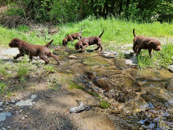 Hardy und die Kinder2
