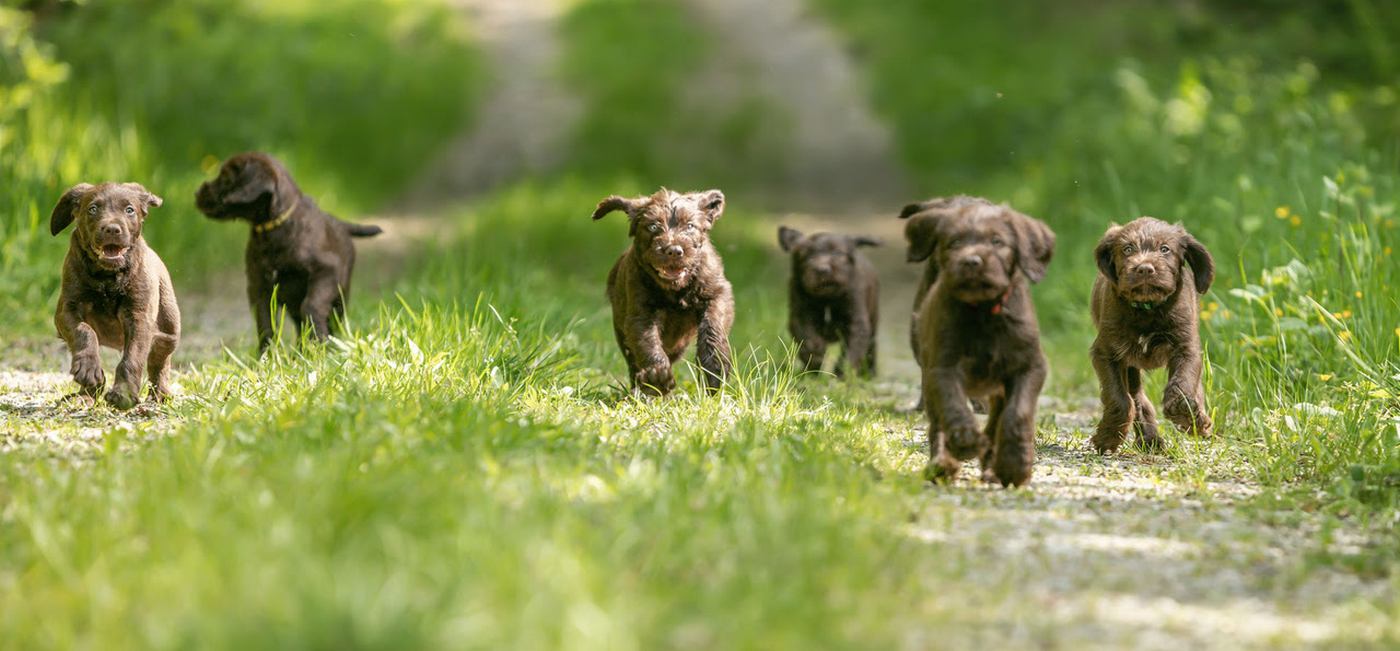 slider aktuell  laufend Weg