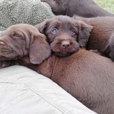 Geschwisterkuscheln