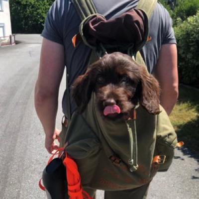 Dariella Rucksack300