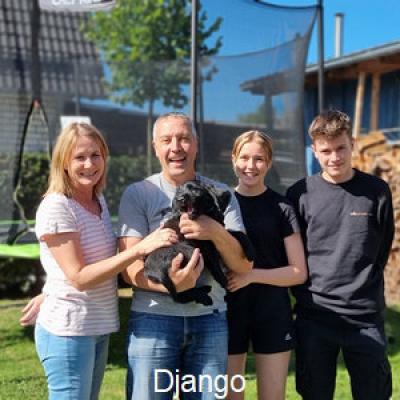 Django Abholung300