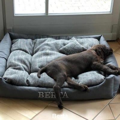 Berta 1