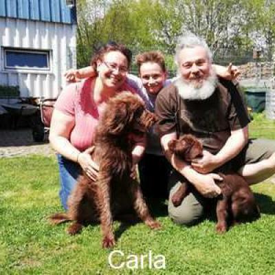 Carla Neues Zuhause