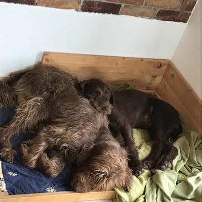 Carla2 Neues Zuhause