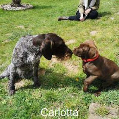 Carlotta4 Im Neuen Zuhause