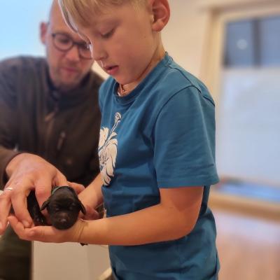 Hagen Und Django 3